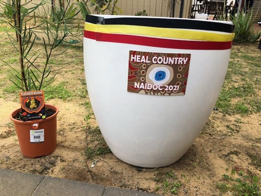 NAIDOC Week 2021 - NAIDOC Heal Country Tree Planting
