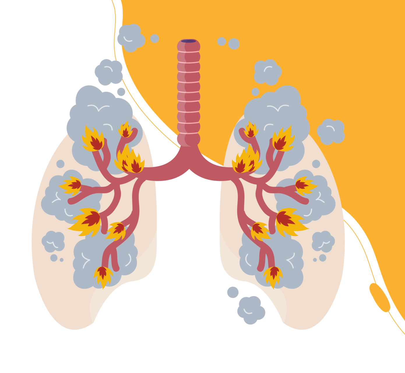 Asthma Week 🌬️