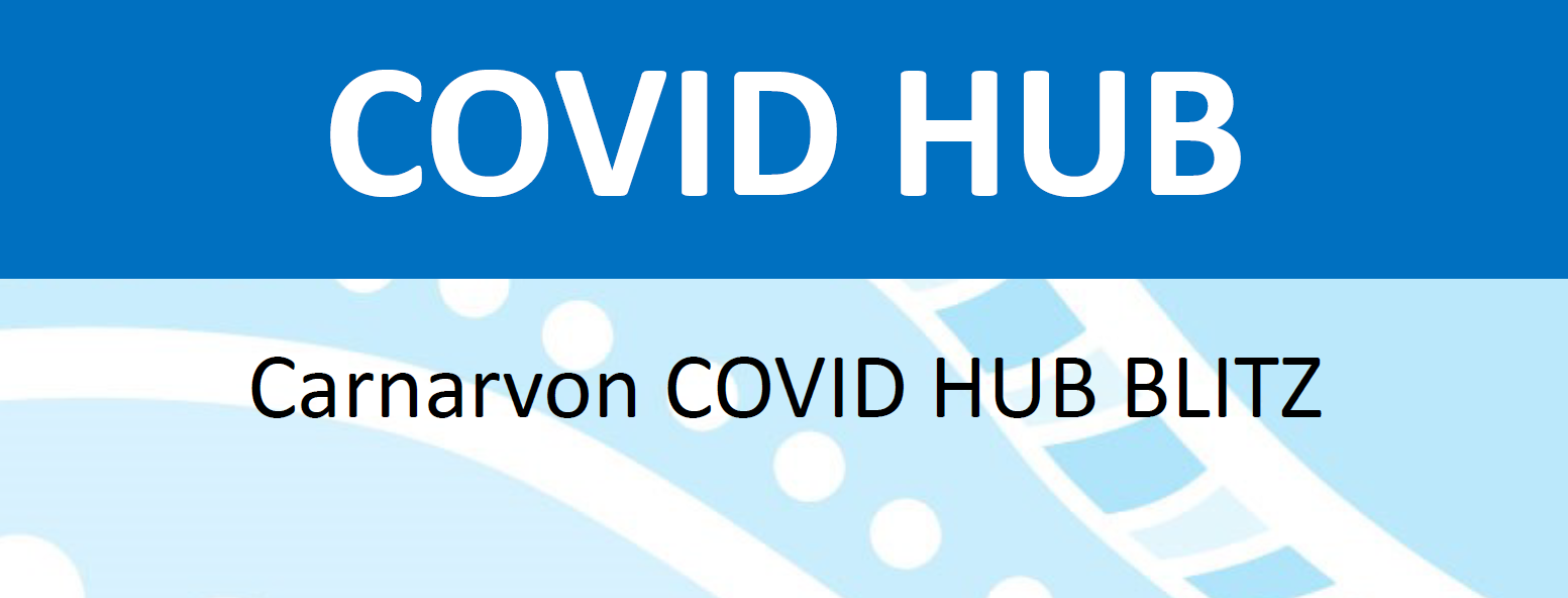 COVID Hub Blitz