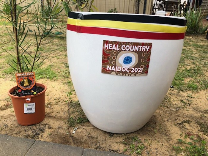 Image Gallery - NAIDOC Heal Country Tree Planting Geraldton